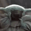 :yodasippy: Discord Emote