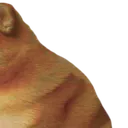 C1_cheemsBIGbaby1