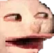 CatPog CatPog