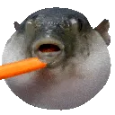 bigpuff