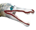 Succiety