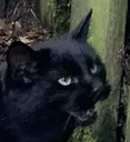 eeee