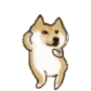 DancingDoge