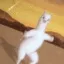 llama_whip