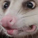 yikes