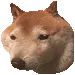 A_DogeWelp_REH