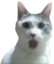 pogcat