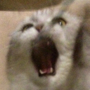 :BLYA: Discord Emote