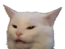 ConfusedSmudge
