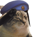 soldiercat Discord emoji
