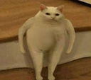 gatoloco Discord emoji