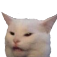 :wutcat: Discord Emote