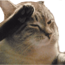 n_f Discord emoji