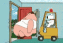 :Peter: Discord Emote