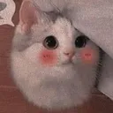 eMittensShy