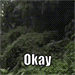 :ok: Discord Emote