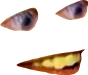 fear