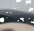 danceroach