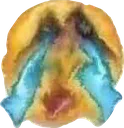 iamcrying