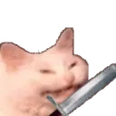 cattoparry