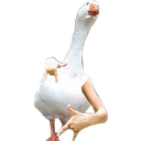 CoolDuck