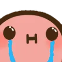 Sadwut