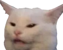 WhatCat