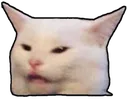 Madcat MadCat Discord Emoji