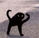 catangryu Discord emoji