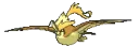 pidgeotmegashiny pidgeotmegashiny