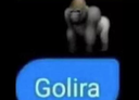 :golira: Discord Emote