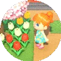 islanderflowers