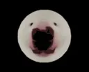 walterwq98ryiuwh