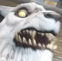 SCAREDDOG