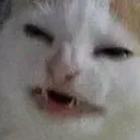 wtf