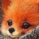 foxAww