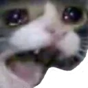 yamero