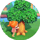 :islandertreeshake: Discord Emote