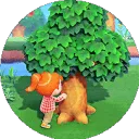 islandertreeshake islandertreeshake