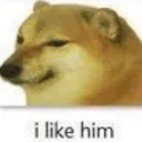 C1_cheemsILIKEHIM C1_cheemsILIKEHIM