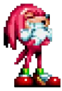 Knuckles