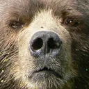 unbearable