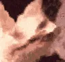 hyperechdemon