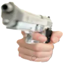 GUN