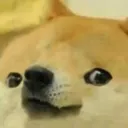 whendanelsayssomething