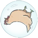 shark_bubble_chicken