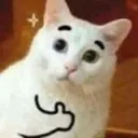 ok
