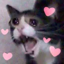 CATILYSCREEl