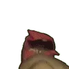 Ricardo2