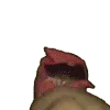 Ricardo1